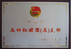 热烈祝贺我校被评委中山市五四红旗团（总）支部、2011年度板芙镇先进团组织